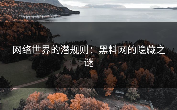 网络世界的潜规则：黑料网的隐藏之谜